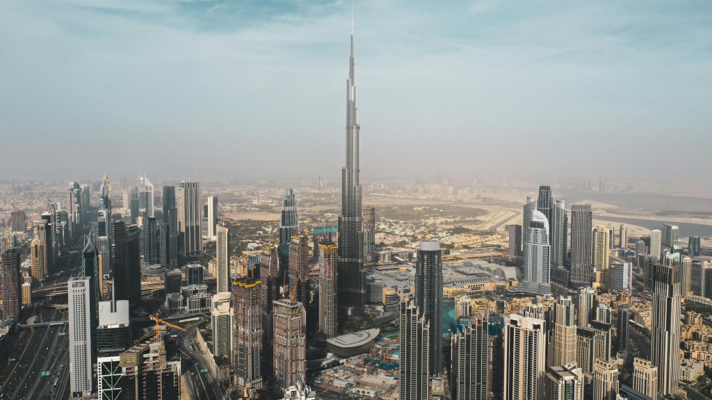 difference between commercial and professional license dubai