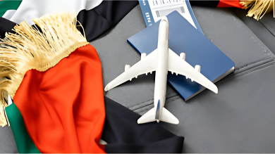 emirates id status