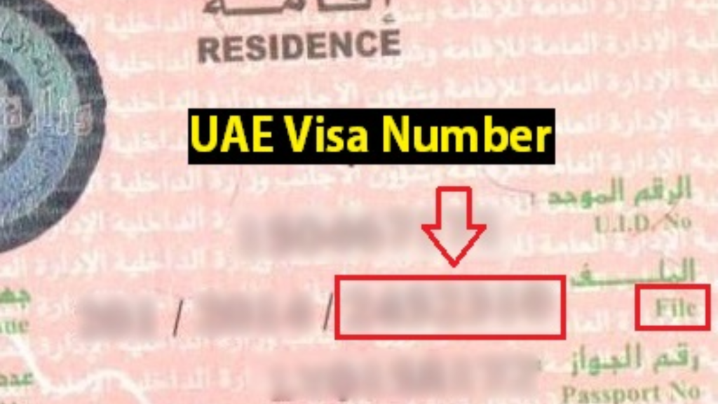 uid number uae